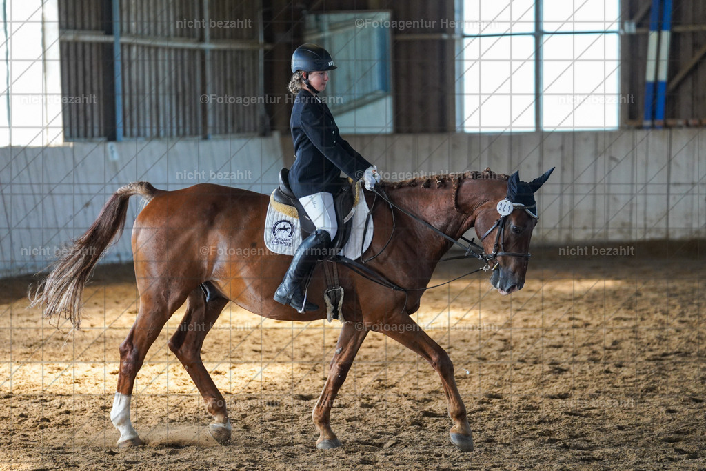 20230916-FAH08666 | Landsberg am Lech 2023, Turnierbildern, Turnierbilder Bayern, Reitsportfotograf, Pferdefotograf Bayern, Turnierfotos Landsberg, Fotoagentur Herrmann, Turnierfotografen Bayern