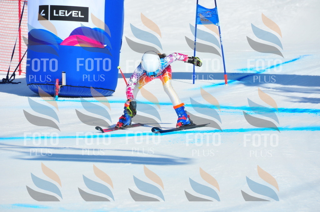 DSC_4364 | holidayphoto