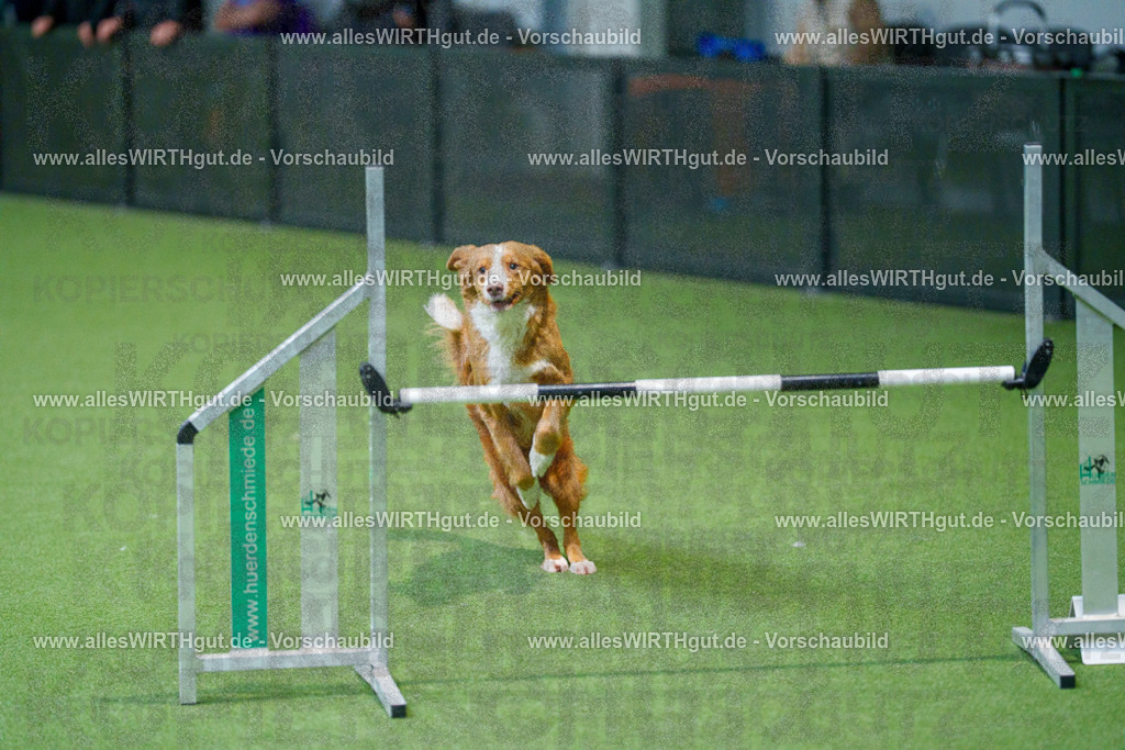 @allesWIRTHgut_Tierfotografie - www.allesWIRTHgut.de - 2604250946-7R508911 | Professionelle Tierfotografie in Mönchengladbach von Daniel Wirth (allesWIRTHgut). Liebevolle & natürliche Bilder von Hunden & Katzen für unvergessliche Erinnerungen.