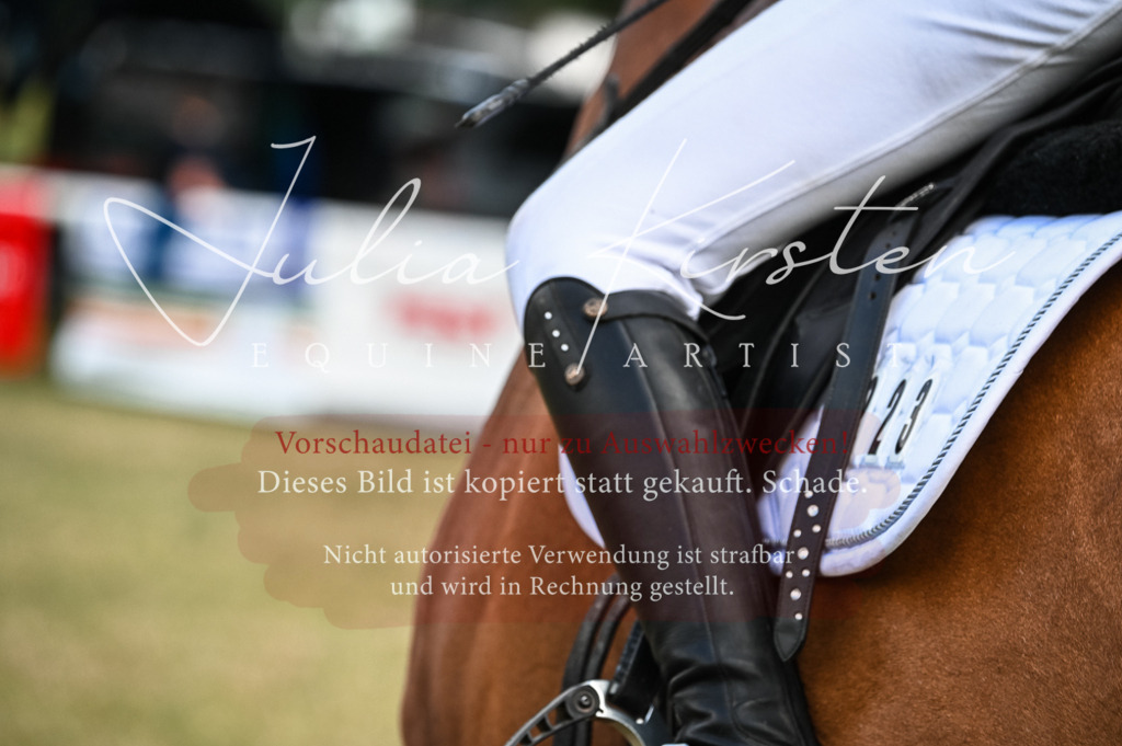 DSC_8440 | Pferde- und Turnierfotografie in Westsachsen. Pferdeportraits, Auftragszeichnungen und intuitive Kunst.