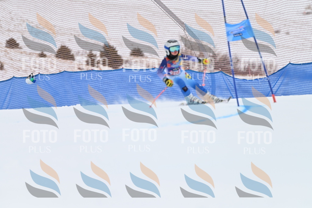 BGV_2587 | holidayphoto