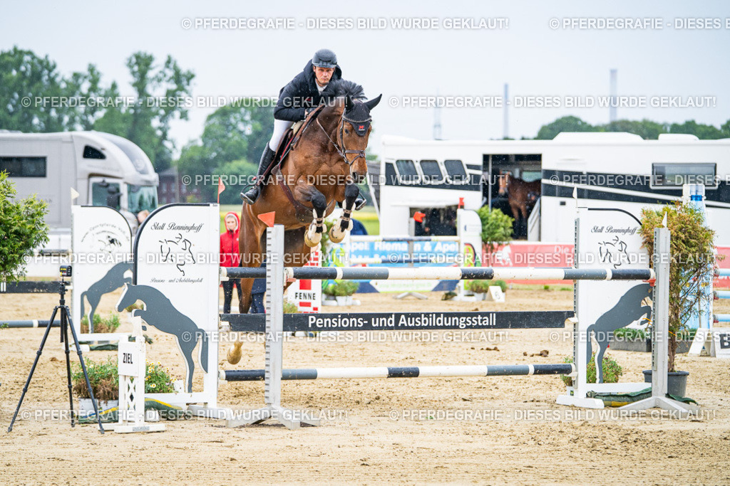 DSC08436 | Pferdegrafie