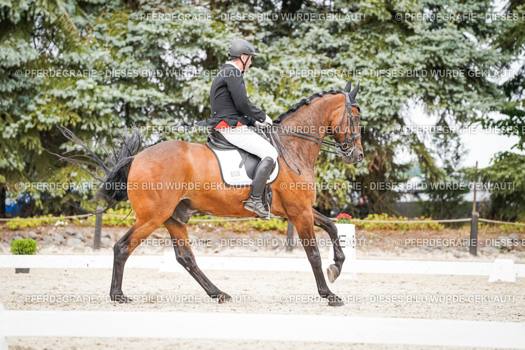 DSC07129 | Pferdegrafie