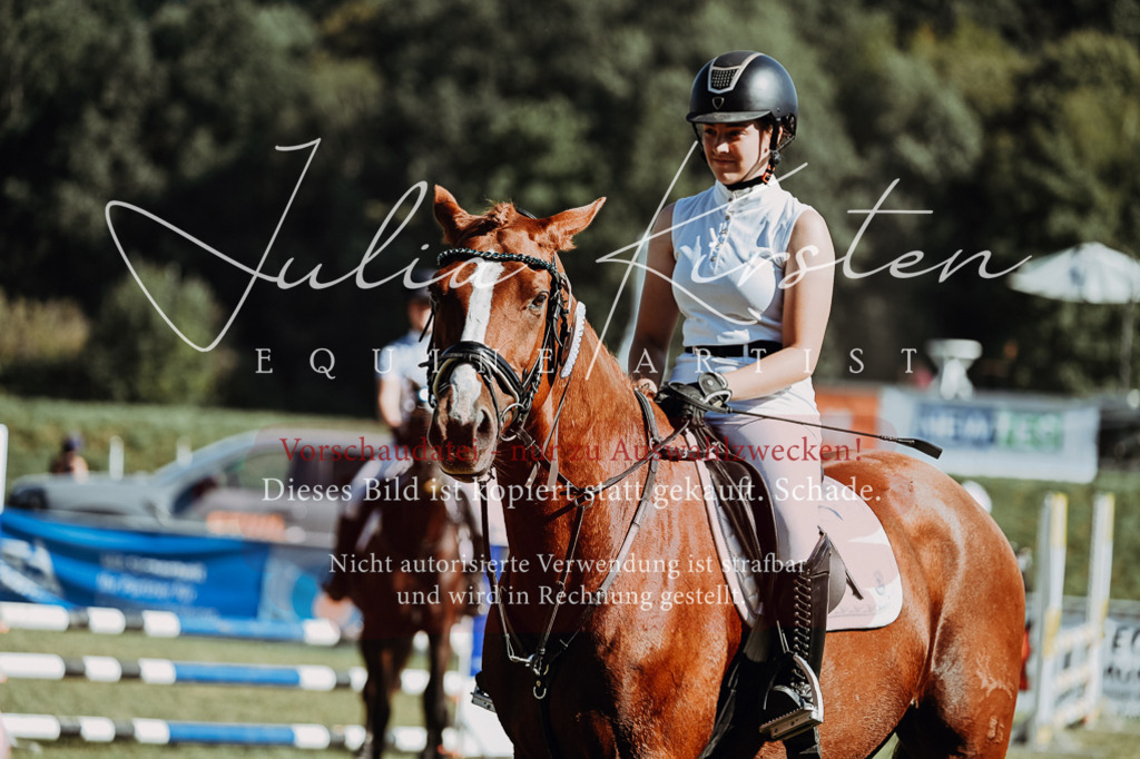 DSC_6979 | Pferde- und Turnierfotografie in Westsachsen. Pferdeportraits, Auftragszeichnungen und intuitive Kunst.