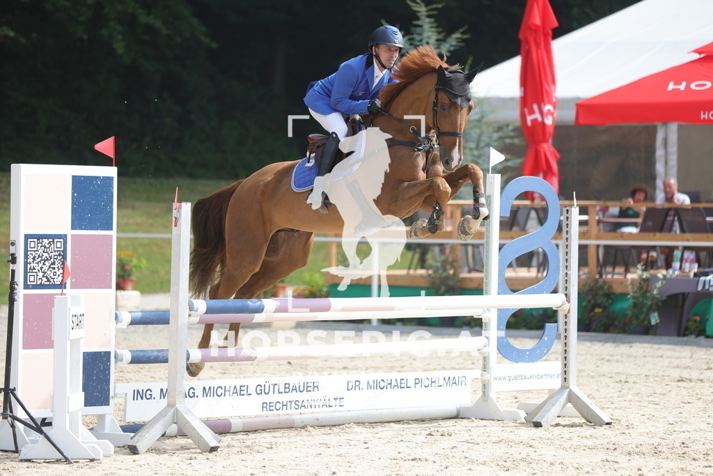 0P6A8109 | Willkommen bei Brunnmayr - Design & Fotografie – Ihrem Spezialisten für Reitturniere und Pferdeveranstaltungen in Oberösterreich, Salzburg und Bayern! Seit über 17 Jahren sind wir leidenschaftlich dabei.