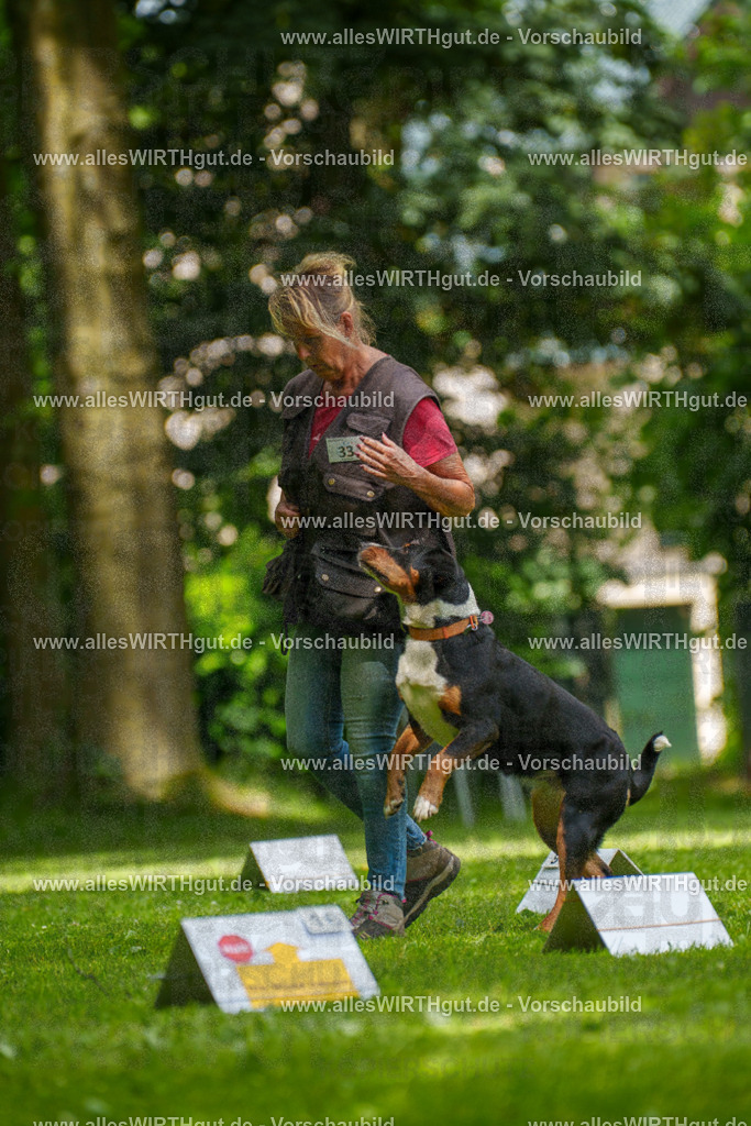 @allesWIRTHgut_Tierfotografie - www.allesWIRTHgut.de - 7R504590 | Professionelle Tierfotografie in Mönchengladbach von Daniel Wirth (allesWIRTHgut). Liebevolle & natürliche Bilder von Hunden & Katzen für unvergessliche Erinnerungen.