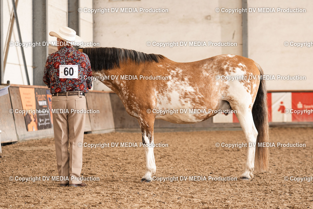 Heiligenwald Tag 2-356 | dv-media-shop - Realisiert mit Pictrs.com