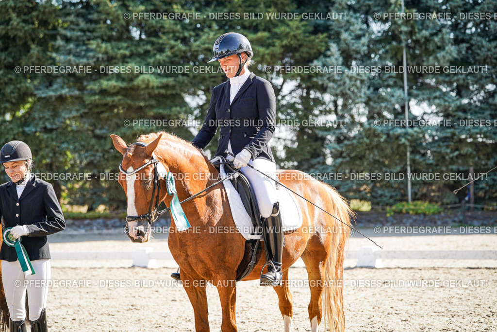 DSC00164 | Pferdegrafie