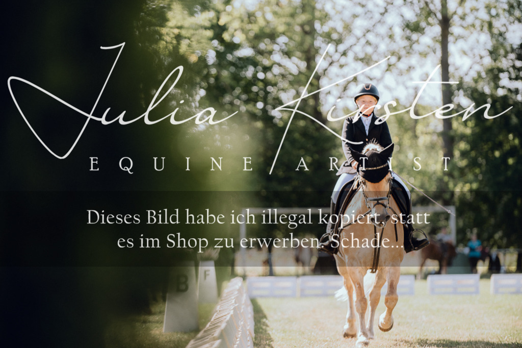 DSC_7148 | Pferde- und Turnierfotografie in Westsachsen. Pferdeportraits, Auftragszeichnungen und intuitive Kunst.