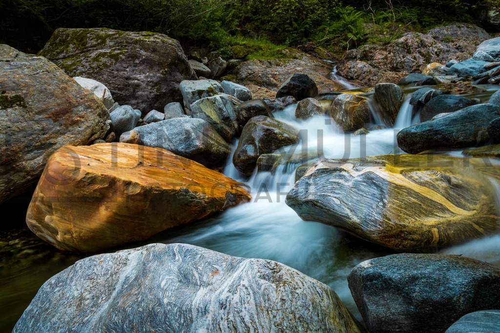 DSC00996 | Tinu Müller Fotografie- Bildershop - Realisiert mit Pictrs.com