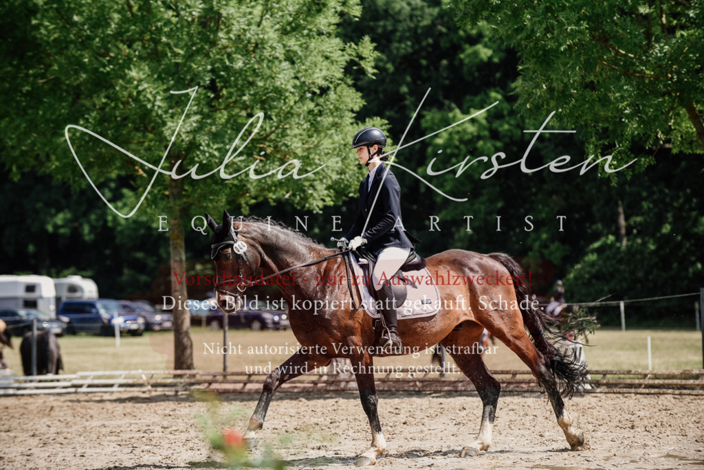 DSC_0855 | Pferde- und Turnierfotografie in Westsachsen. Pferdeportraits, Auftragszeichnungen und intuitive Kunst.