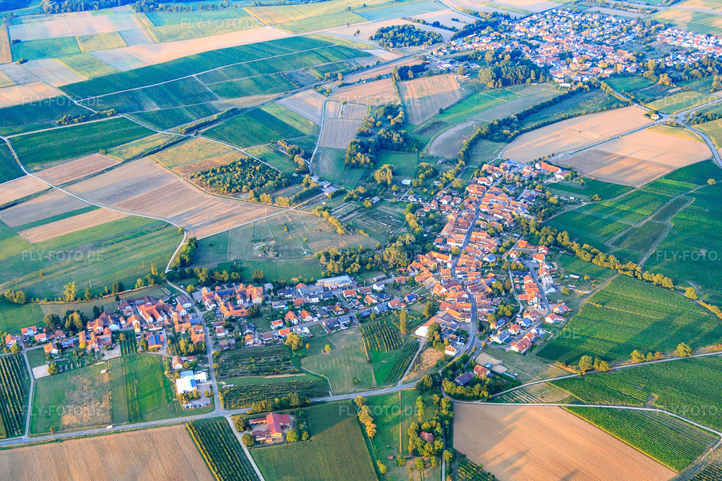 Luftbild: Ortsansicht von Westen in Oberhausen im Bundesland Rheinland-Pfalz in Deutschland. Foto: IMG_084214.jpg vom 29.08.2015 durch Werner Riehm/FLY-FOTO.de