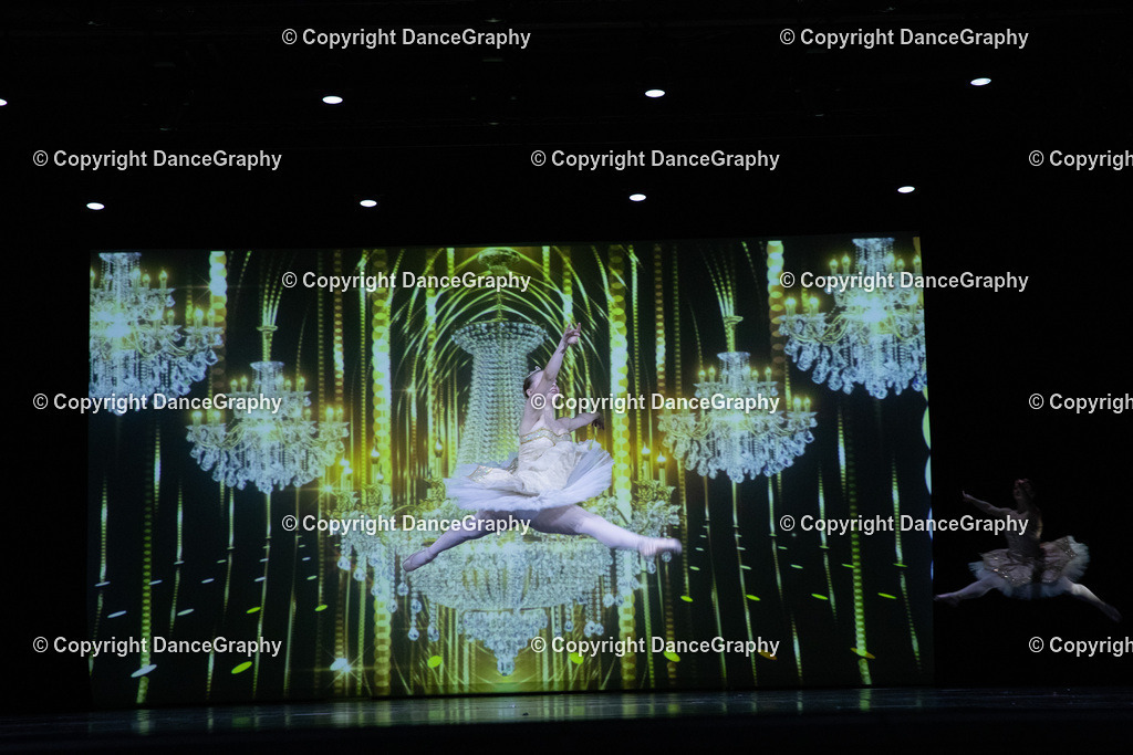 GPHY6963 | DanceGraphy - Realisiert mit Pictrs.com