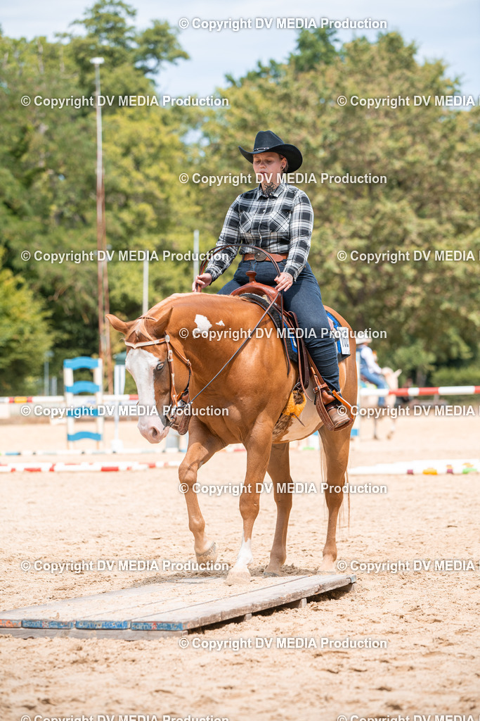 ZS2_8193 | dv-media-shop - Realisiert mit Pictrs.com