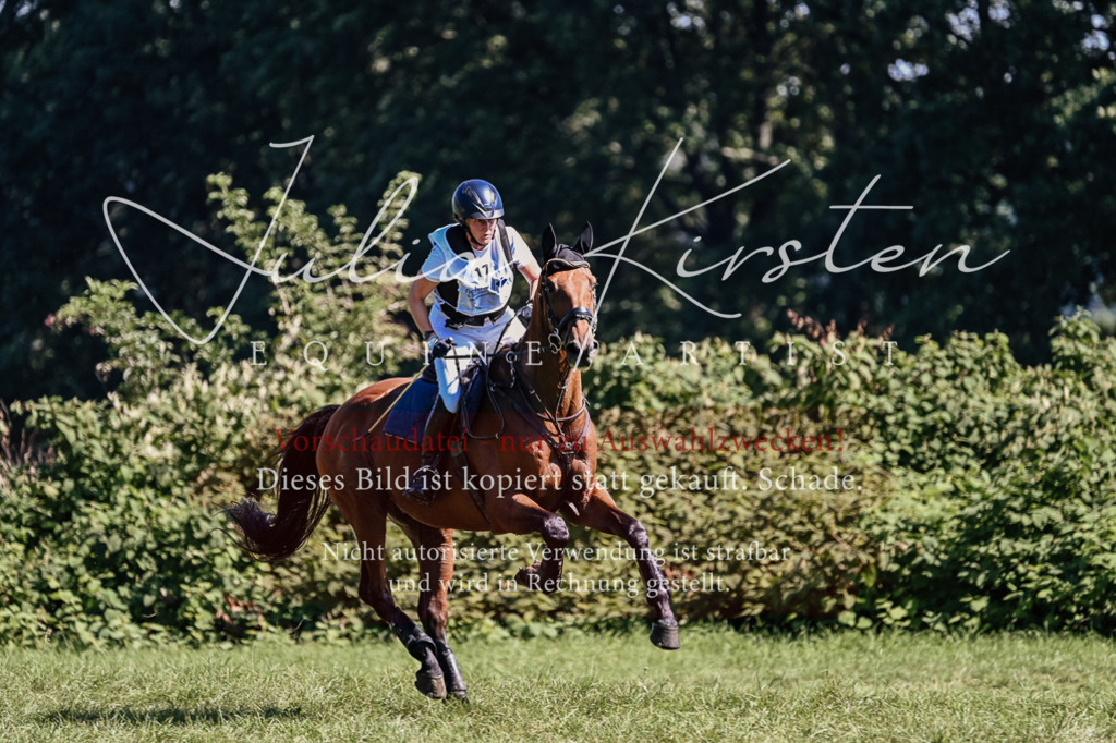 DSC_2006 | Pferde- und Turnierfotografie in Westsachsen. Pferdeportraits, Auftragszeichnungen und intuitive Kunst.