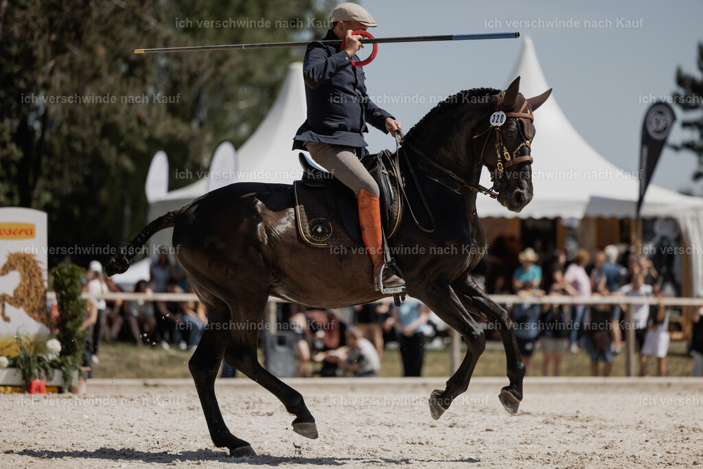 WE_SP_Stoib_320_PI2025_1725 | Pferd International München 2025