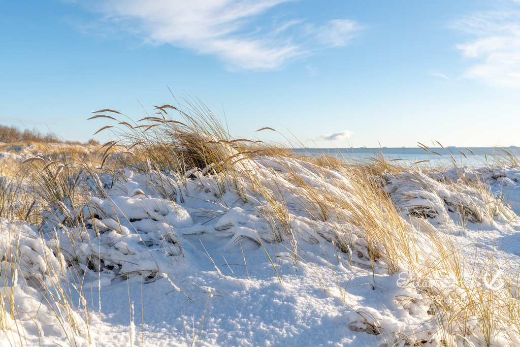 20260104-EAF_8365 | Eilun-Art-Fotografie Levke Martens, ihre Fotografin für Immobilien- und Landschaftsfotografie auf Föhr, Föhrer Motive als Poster, Leinwand, hinter Acrylglas oder stelle dir deinen eigenen Monatskalender zusammen, mit nur einem Klick