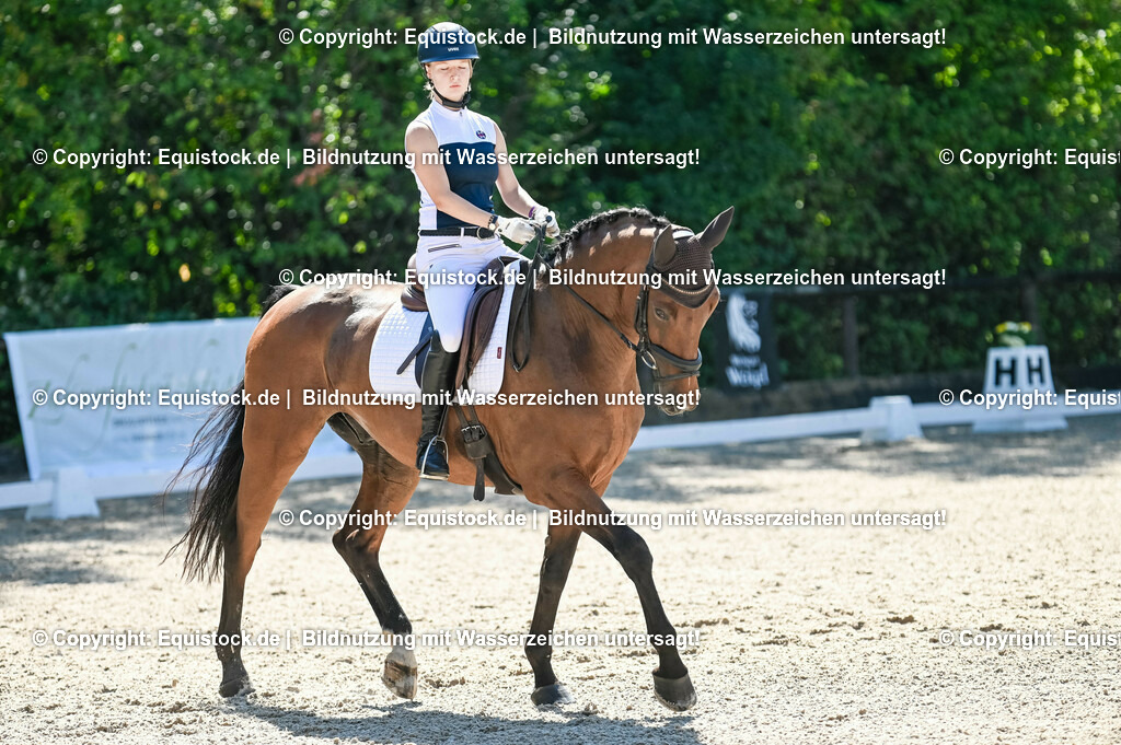 20230908_06_Dressur-L-Trense_0355 | equistock