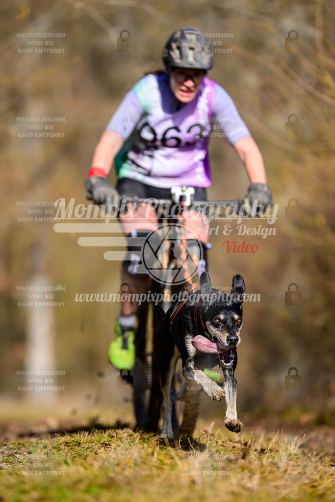 MompixPhotography_Schwabentrail2025_SO_Bike-47 | PayLife