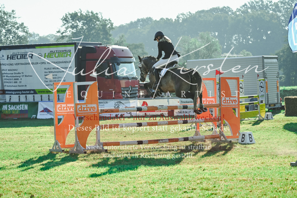 DSC_4474 | Pferde- und Turnierfotografie in Westsachsen. Pferdeportraits, Auftragszeichnungen und intuitive Kunst.
