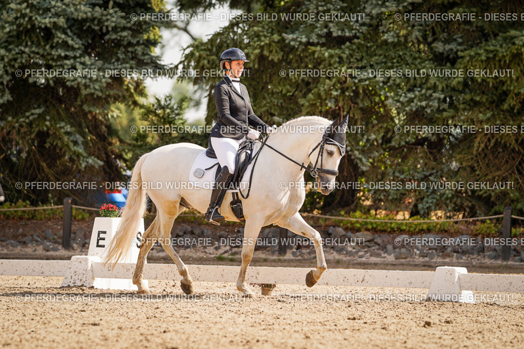 DSC01098 | Pferdegrafie