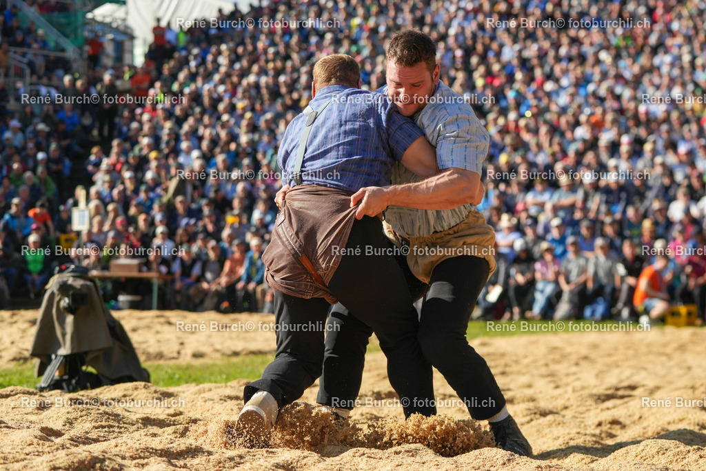 RB_01793 | René Burch leidenschaftlicher Fotograf aus Kerns in Obwalden.  Hier finden sie Sport, Landschaft und Natur Fotografie.
 - Realisiert mit Pictrs.com