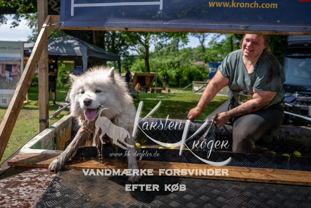 1148_ZZ94959 | kk-dogfotos