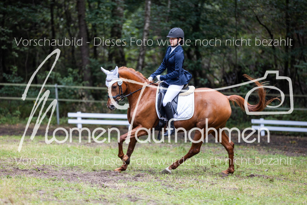 HB-Dressur-WB-075 | MomenTaufnahmen Pferdesportfotos