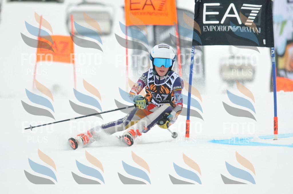 DSC_7663 | holidayphoto