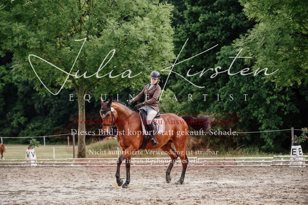 DSC_9529 | Pferde- und Turnierfotografie in Westsachsen. Pferdeportraits, Auftragszeichnungen und intuitive Kunst.