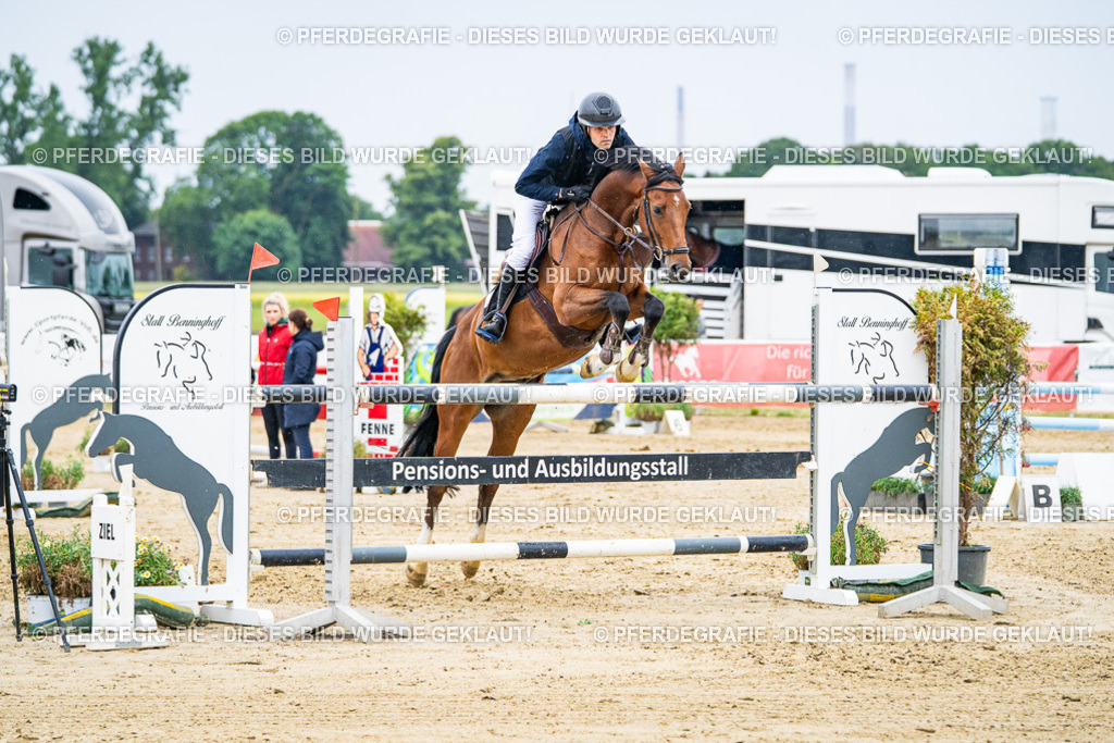 DSC08316 | Pferdegrafie