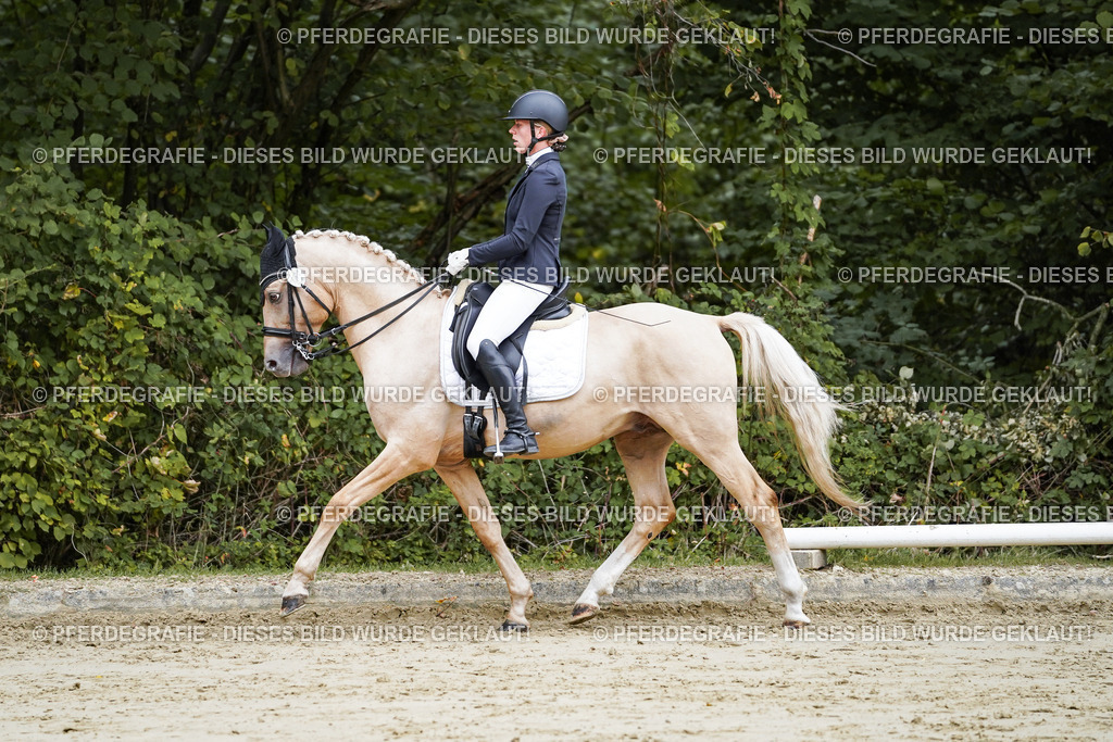 DSC08937 | Pferdegrafie