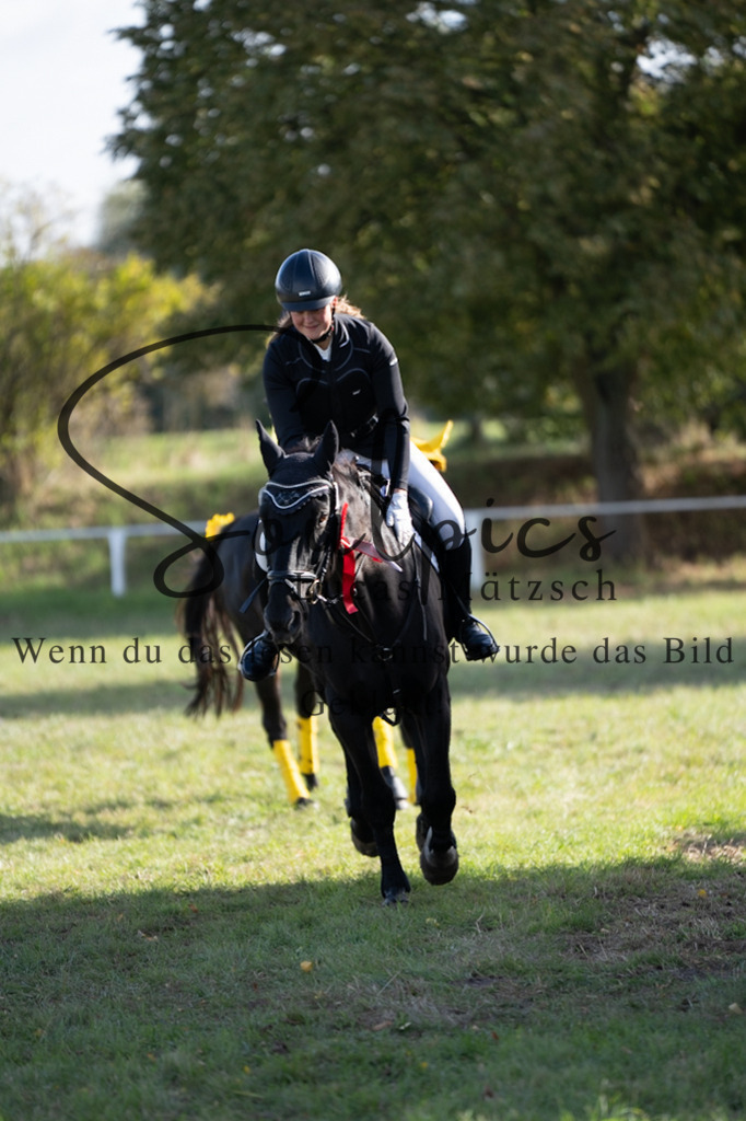 A7V06618 | Pferdefotograf