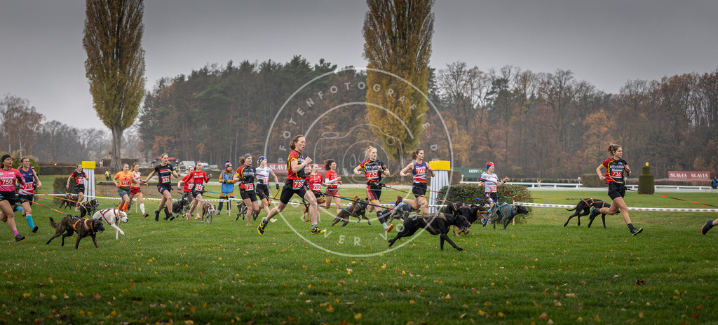 CaniXpix_DV3A8790 | Hundefotografie, Tierfotograf, Pfotenfotografie, Fotoshooting Hund, Hunde Portrait, Hundesport, Hundeportraits, Heideshooting, Hunde, Sportfotograf, Hundefotograf, Turnierhundsport, THS,  - Realisiert mit Pictrs.com