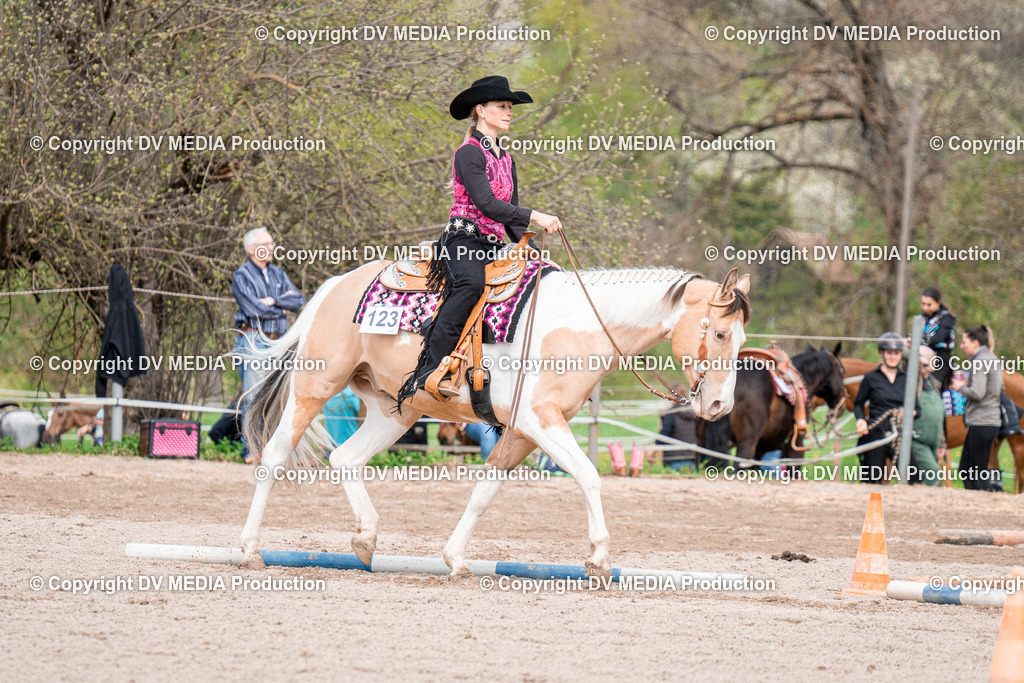 BAL02633 | dv-media-shop - Realisiert mit Pictrs.com