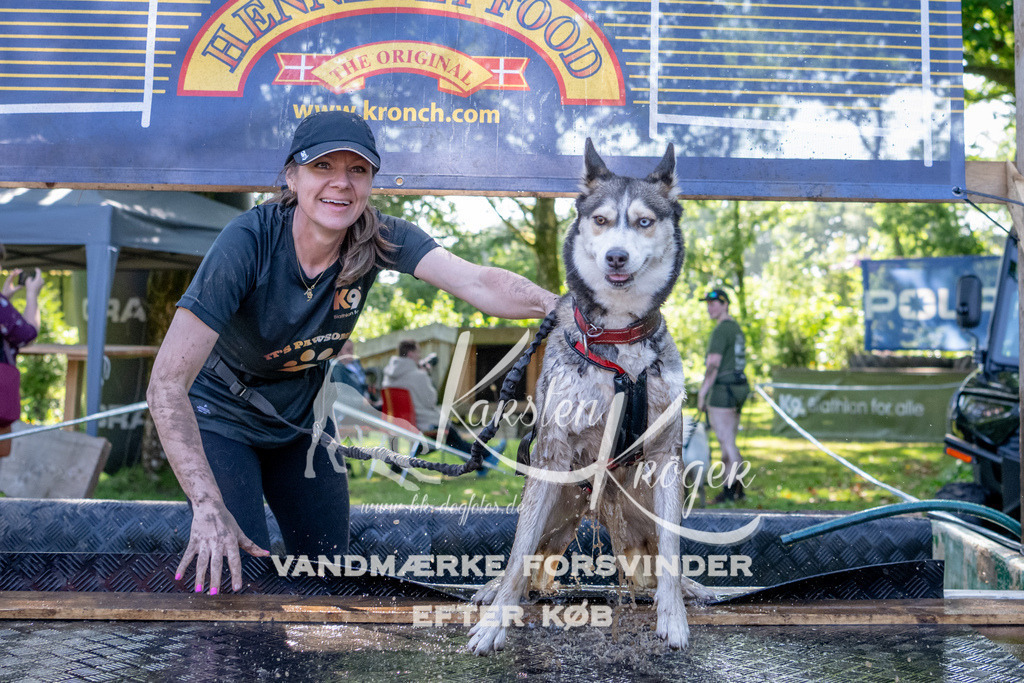 1536_ZZ91947 | kk-dogfotos