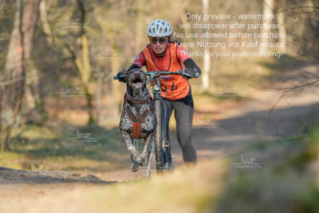 Sa_Scooter-112 | stephaniefillaphotographie - Realisiert mit Pictrs.com