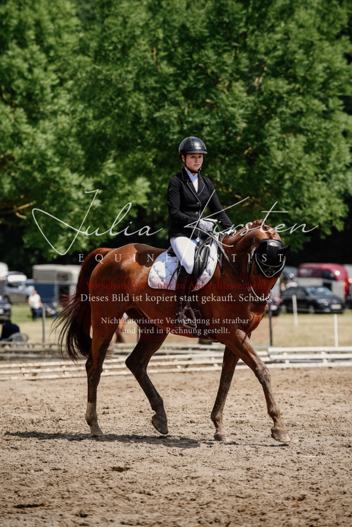 DSC_1378 | Pferde- und Turnierfotografie in Westsachsen. Pferdeportraits, Auftragszeichnungen und intuitive Kunst.