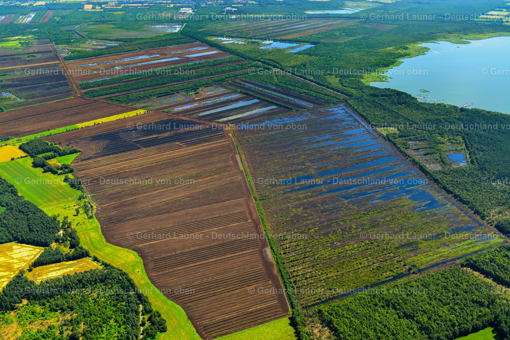 3620617 | Steinhuder Moor