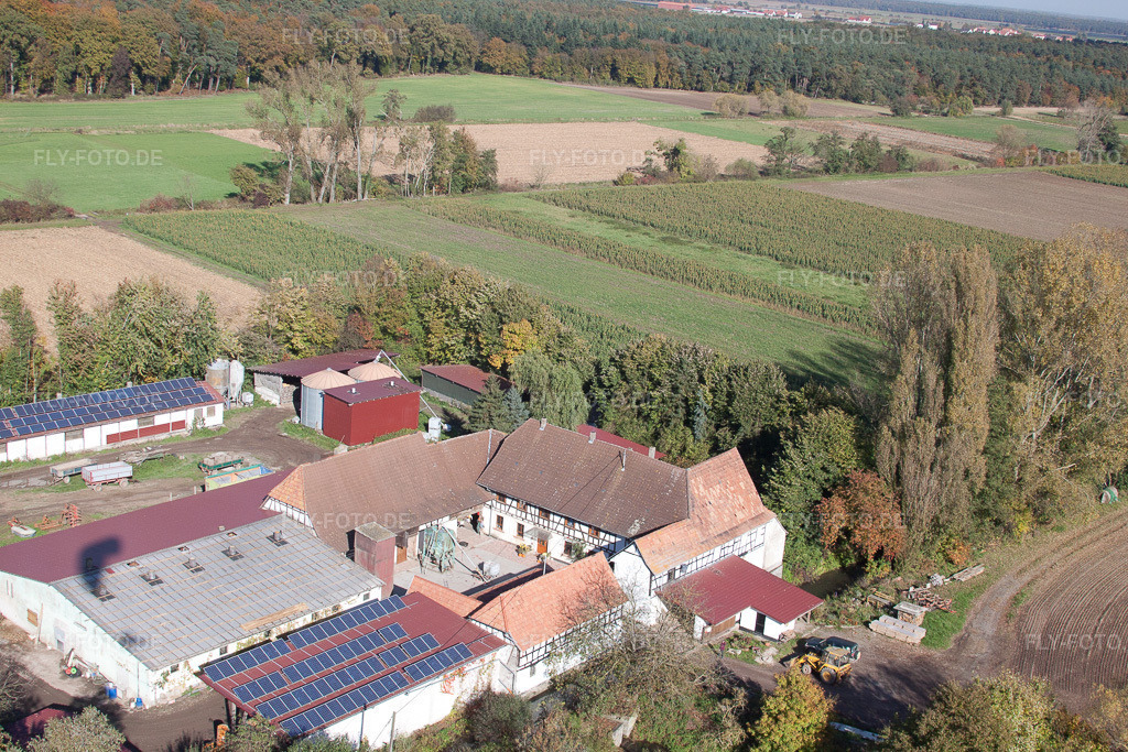 Luftbild: Leistenmühle in Erlenbach bei Kandel im Bundesland Rheinland-Pfalz in Deutschland. Foto: IMG_34944.jpg vom 26.10.2010 durch Werner Riehm/FLY-FOTO.de