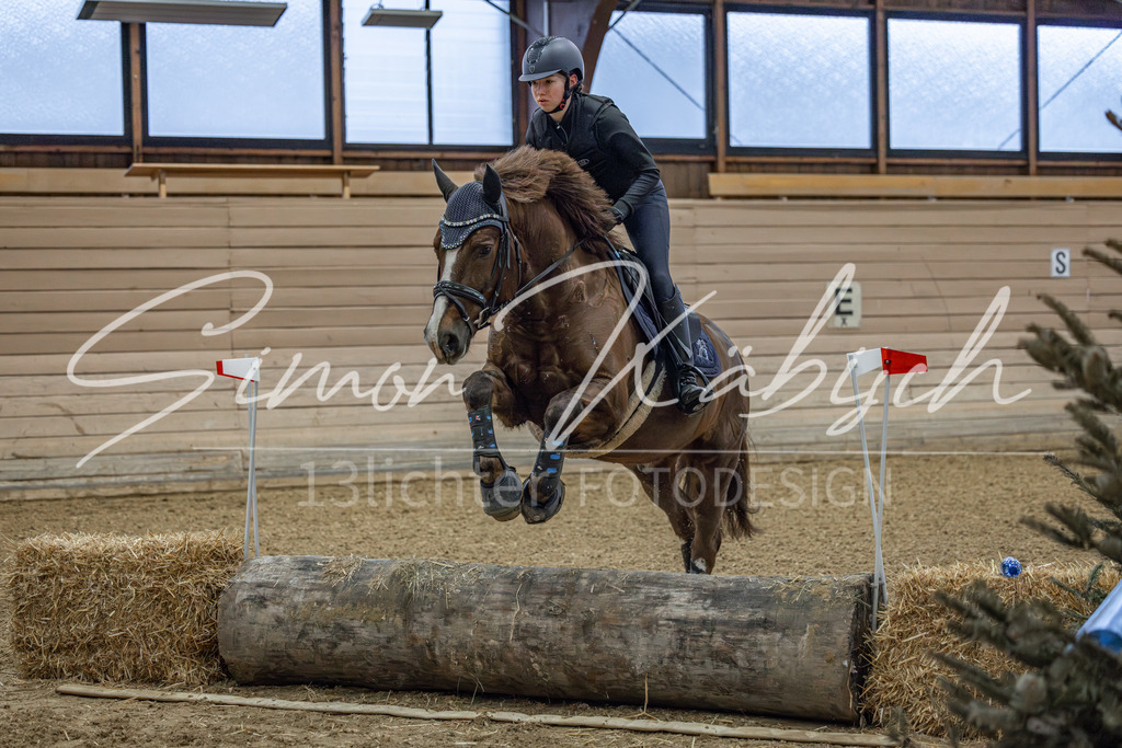 20260221-_3LI8378 | Tierfotografie Pferde, Hunde, Katzen, Haustiere.
Turnierfotografie Reitturniere, Reiten, Springreiten, Dressur in Hanau, dem Main-Kinzig-Kreis und dem Rhein-Main- Gebiet um Frankfurt
