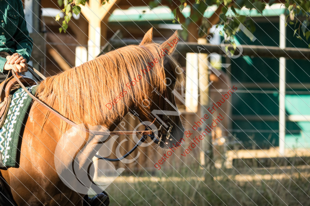 IMG_5973 | Sport-, Event- und Tierfotos in Profiqualität. Einfach auswählen, bestellen und herunterladen. Dein Moment – perfekt festgehalten.
