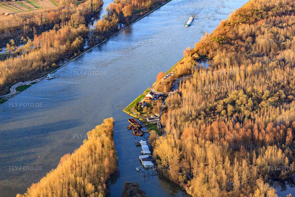 Luftbild: Mündung des Auer Altrheins in den Rhein in Au am Rhein im Bundesland Baden-Württemberg in Deutschland. Foto: IMG_56501.jpg vom 14.04.2013 durch Werner Riehm/FLY-FOTO.de