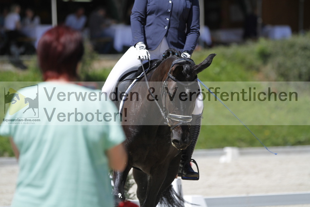 _MG_4954 | equestrian-live-com