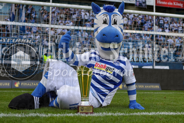 23.05.2026, GER, Fussball, Herren, Niederrheinpokal Finale, Saison 2025/2026, SC St. Tönis - MSV Duisburg | das Maskotchen Ennatz zeigt den Niederrheinpokal