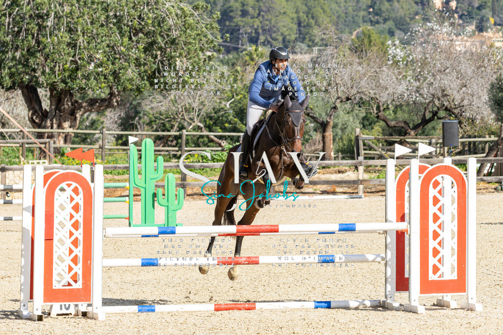 IMG_4003 | s-jay-photography - Realisiert mit Pictrs.com