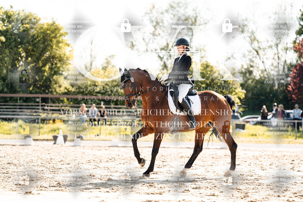 CK909864 | Turnierfotografie Pferdefotografie Trier Rheinland-Pfalz Pferdesport Reitsport Tierfotografie Sportfotografie Pferdevideo Pferdevideografie Equestrianvideography equestrianphotography  - Realisiert mit Pictrs.com