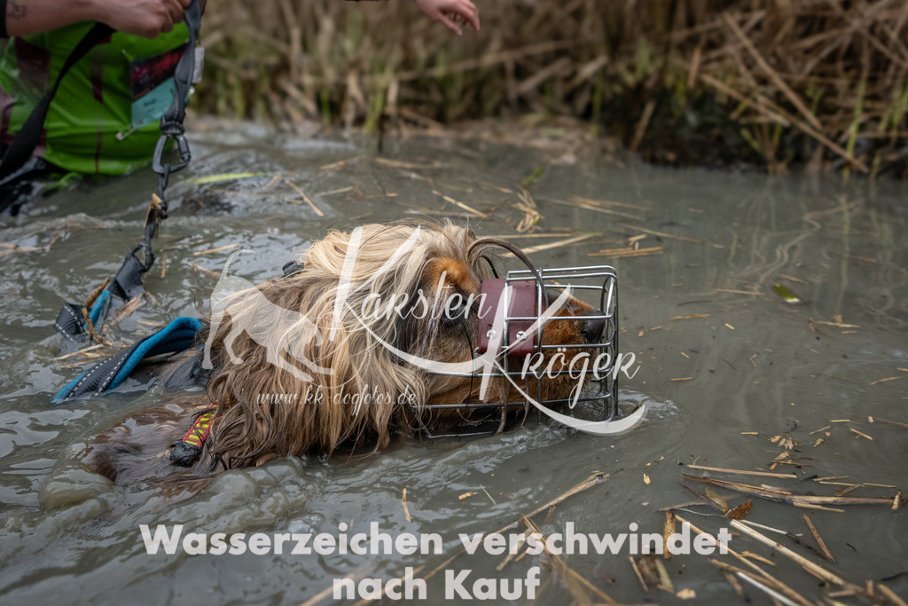 1035_ZZ91150 | kk-dogfotos