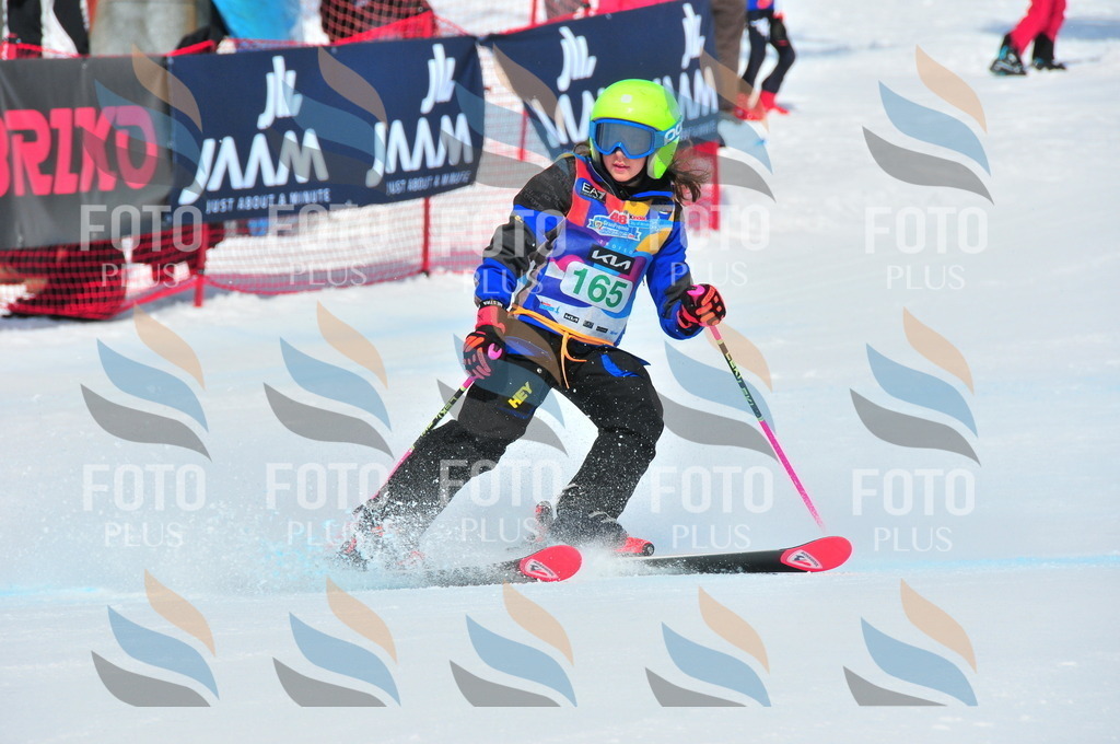 DSC_1478 | holidayphoto