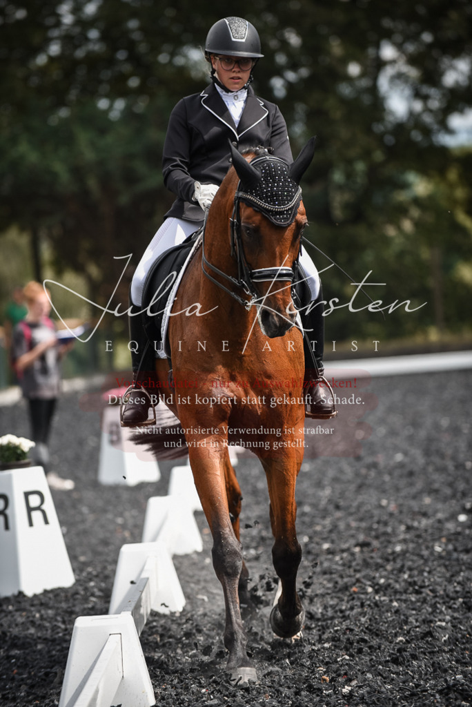 DSC_4988 | Pferde- und Turnierfotografie in Westsachsen. Pferdeportraits, Auftragszeichnungen und intuitive Kunst.